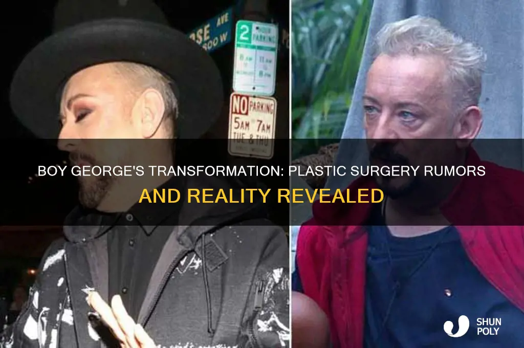 has boy george had plastic surgery