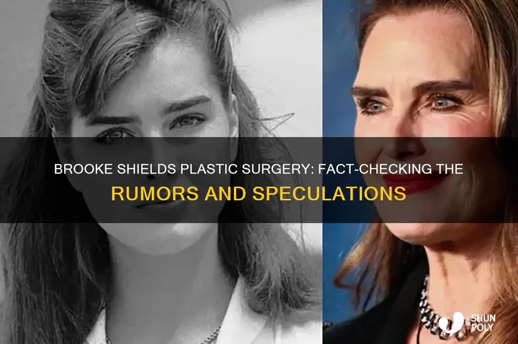 has brooke sheilds had plastic surgery