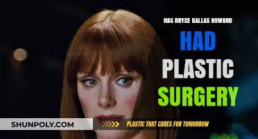 Bryce Dallas Howard's Transformation: Plastic Surgery Rumors Explored