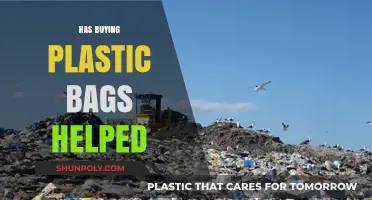 Plastic Bag Purchases: Environmental Impact and Sustainable Alternatives Explored