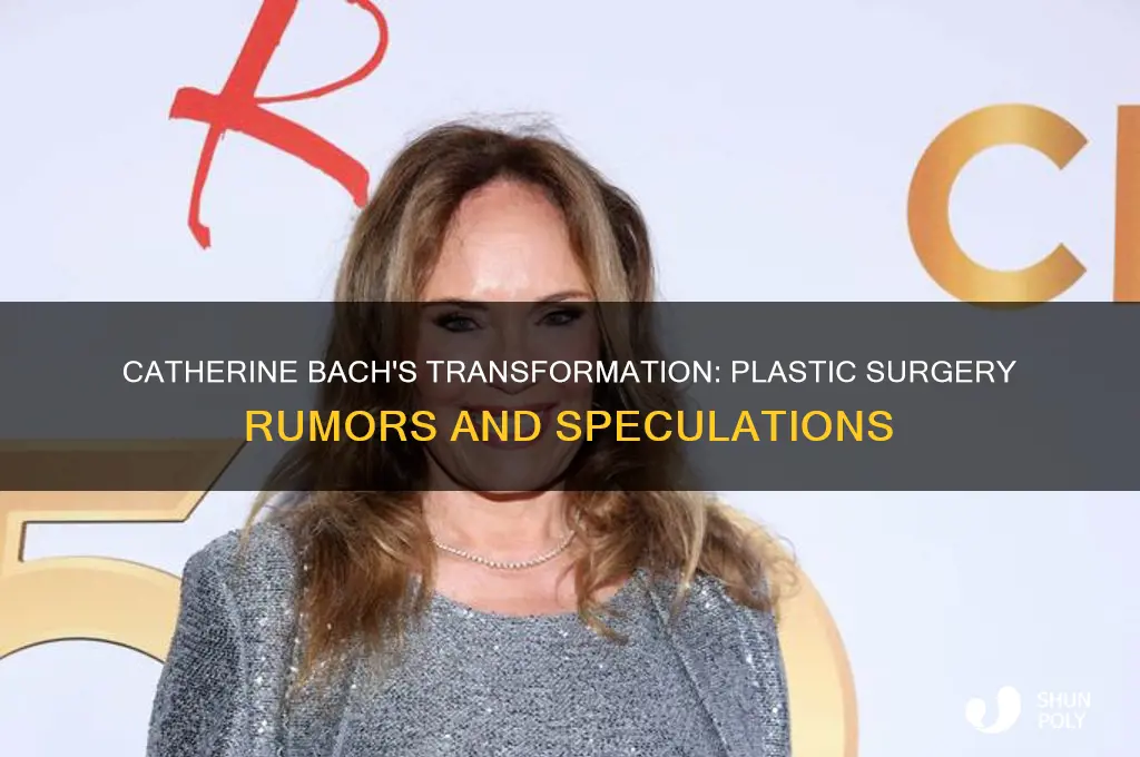 has catherine bach had plastic surgery