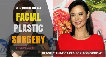 Catherine Bell's Facial Transformation: Natural Aging or Plastic Surgery?