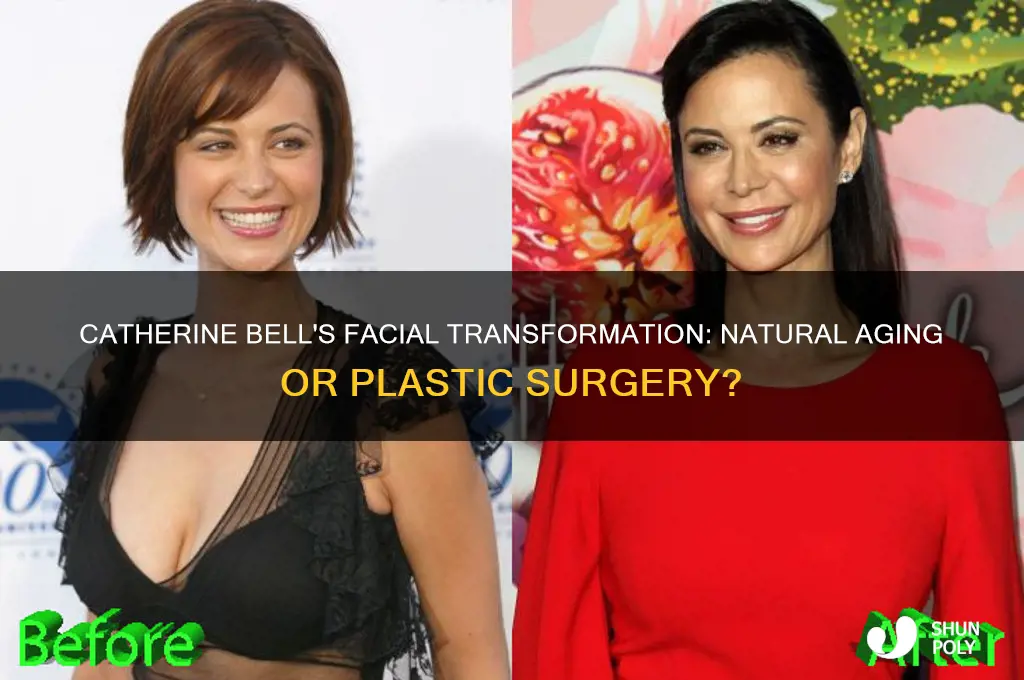 has catherine bell had facial plastic surgery