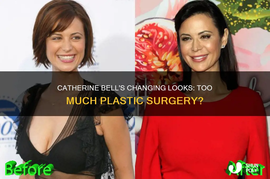 has catherine bell had one too many plastic surgeries