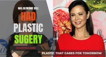 Catherine Bell's Plastic Surgery: Fact or Fiction?