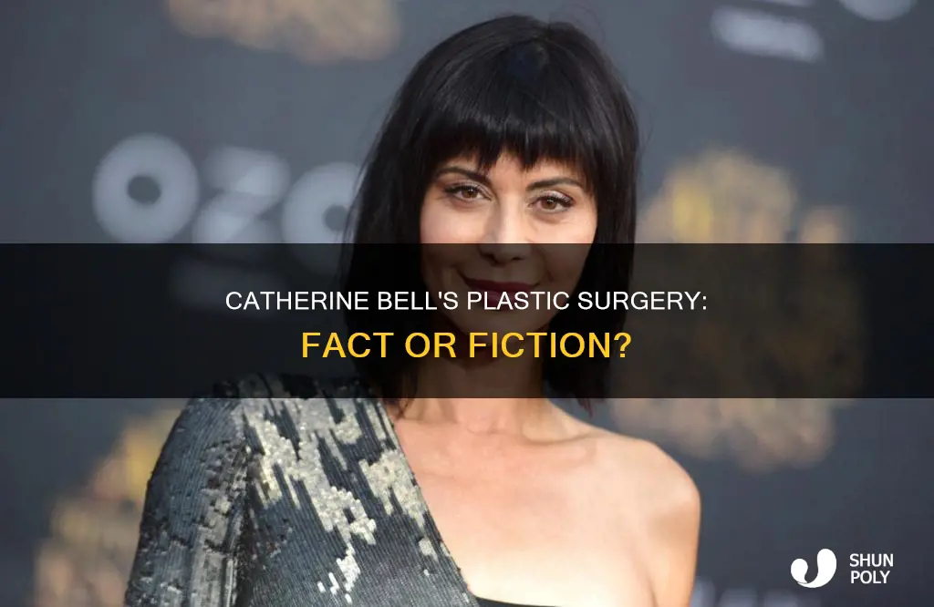 Catherine Bell's Plastic Surgery: Fact Or Fiction? | ShunPoly