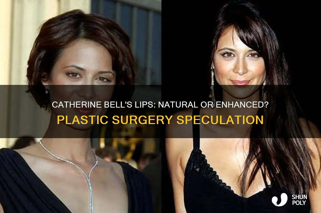 has catherine bell had plastic surgery on her lips
