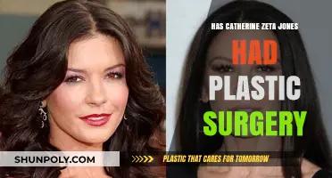 Catherine Zeta-Jones Plastic Surgery: Fact-Checking the Rumors and Speculations