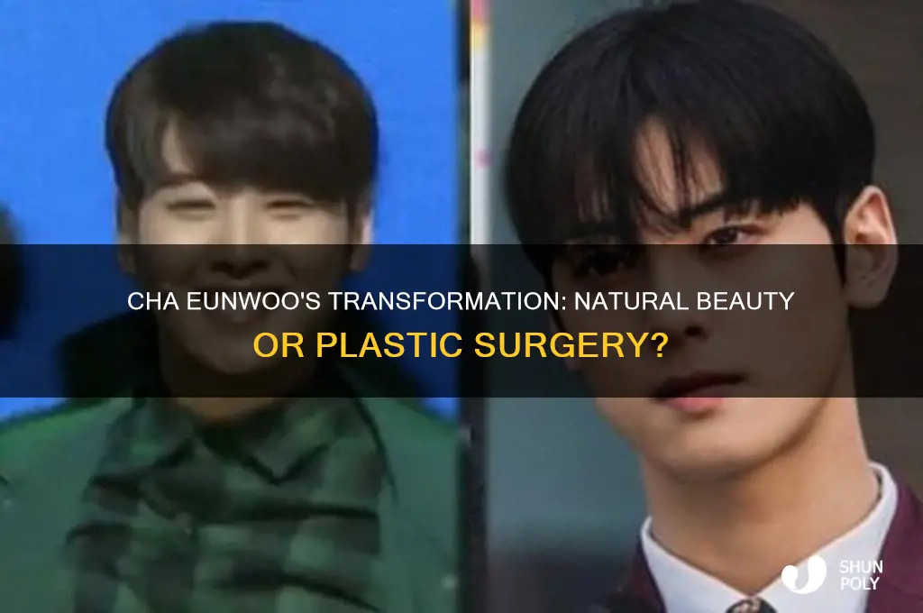 has cha eunwoo had plastic surgery