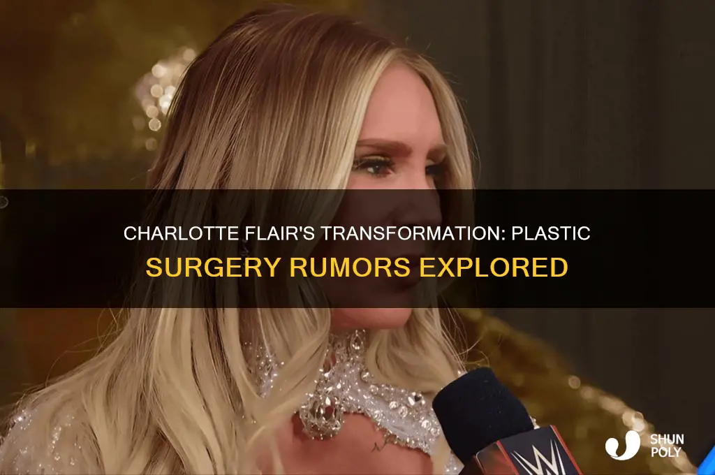 has charlotte flair had plastic surgery