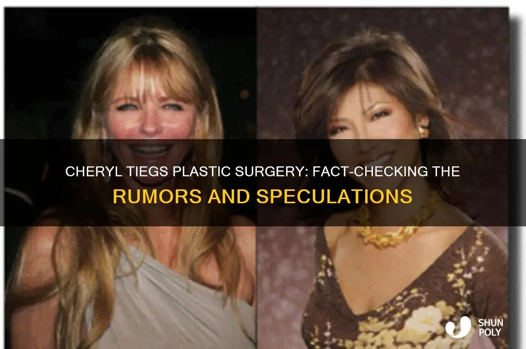 has cheryl tiegs had plastic surgery
