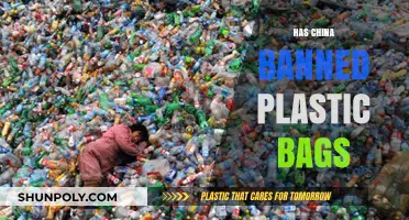 China's Plastic Bag Ban: Impact, Enforcement, and Environmental Outcomes