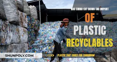 China's Plastic Recycling Shift: A Global Impact