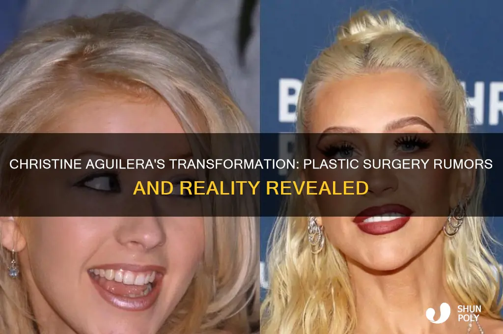 has christine aguilera had plastic surgery