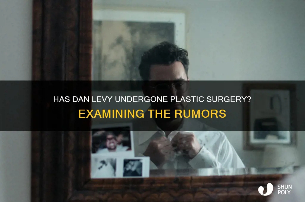 has dan levy had plastic surgery done