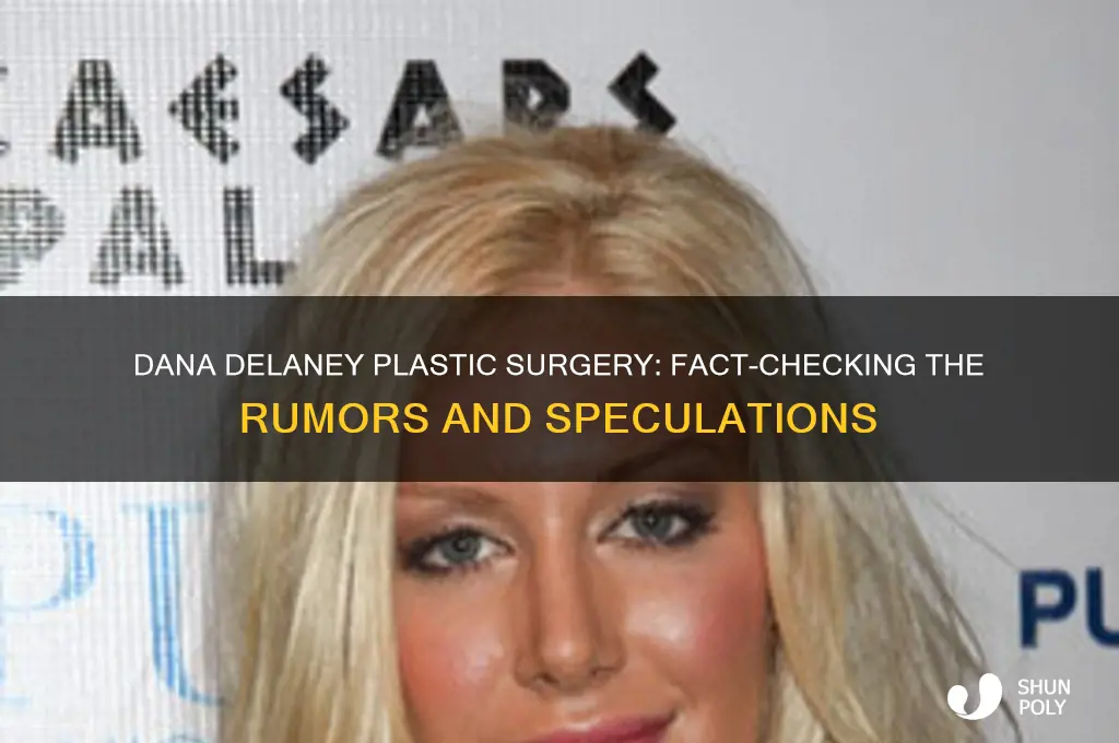 has dana delaney had plastic surgery
