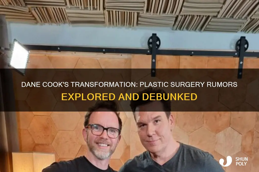 has dane cook had plastic surgery