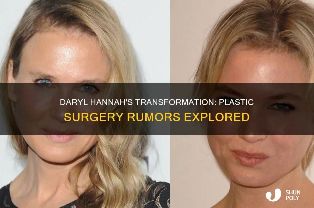 has daryl hannah had plastic surgery