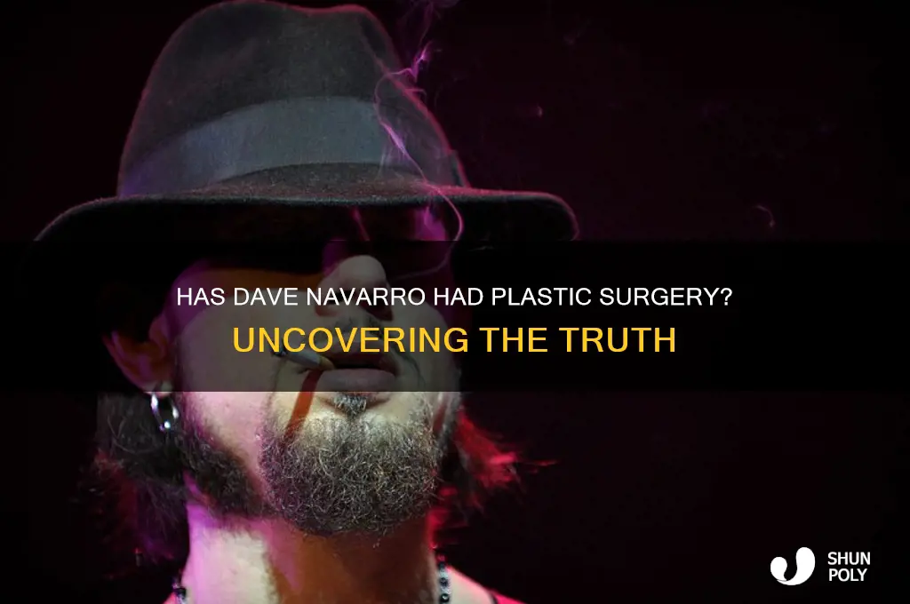 has dave navarro had plastic surgery