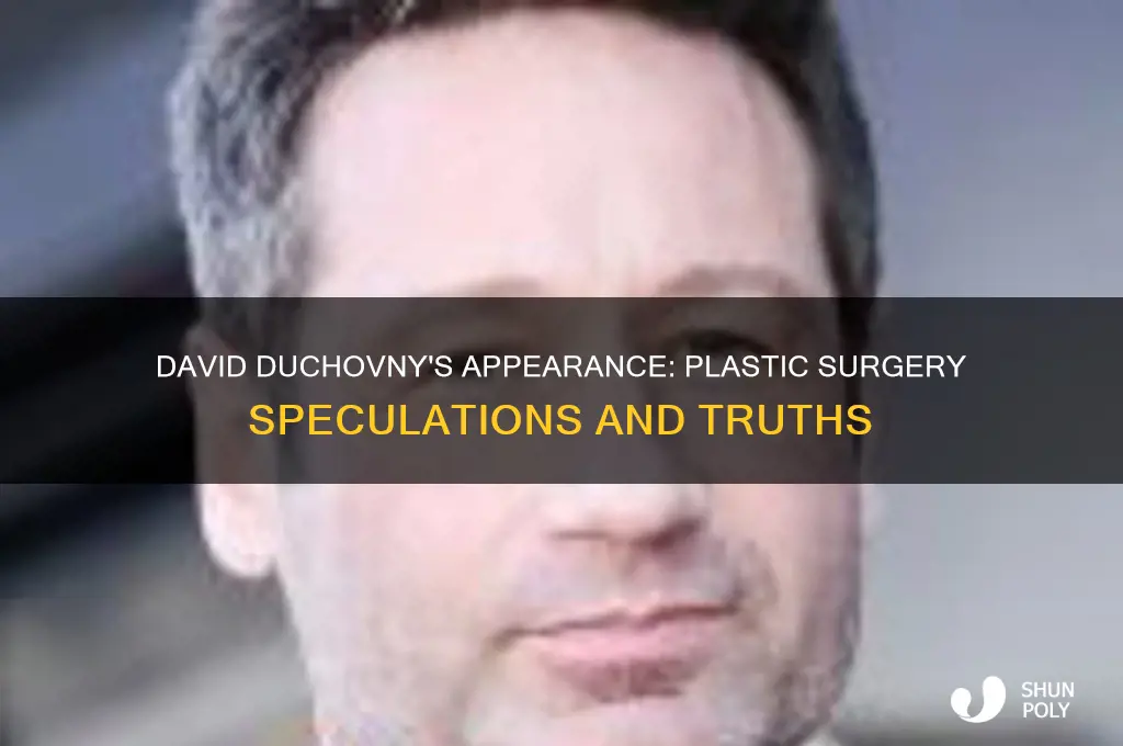 has david duchovny had plastic surgery