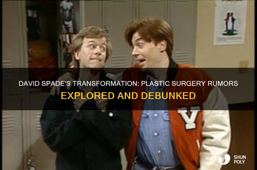 has david spade had plastic surgery