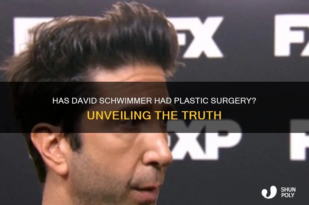 has david swimmer had plastic surgery