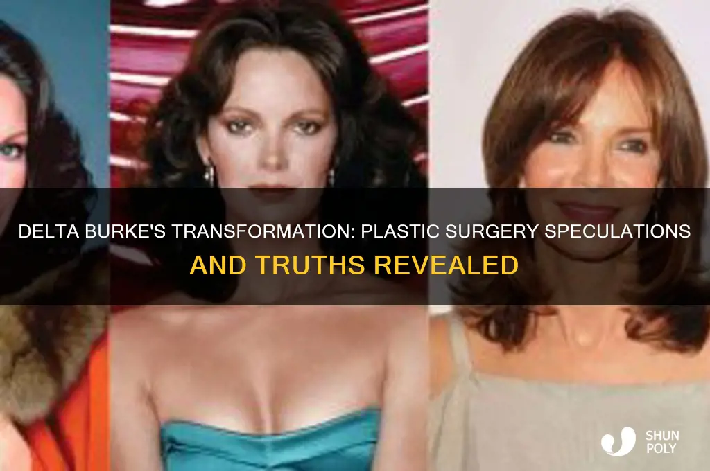 has delta burke had plastic surgery