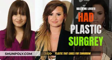 Demi Lovato's Plastic Surgery: What's Real and What's Not?