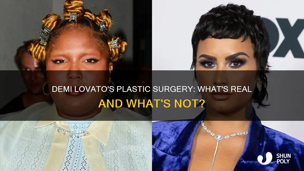 has demi lovato had plastic surgrey