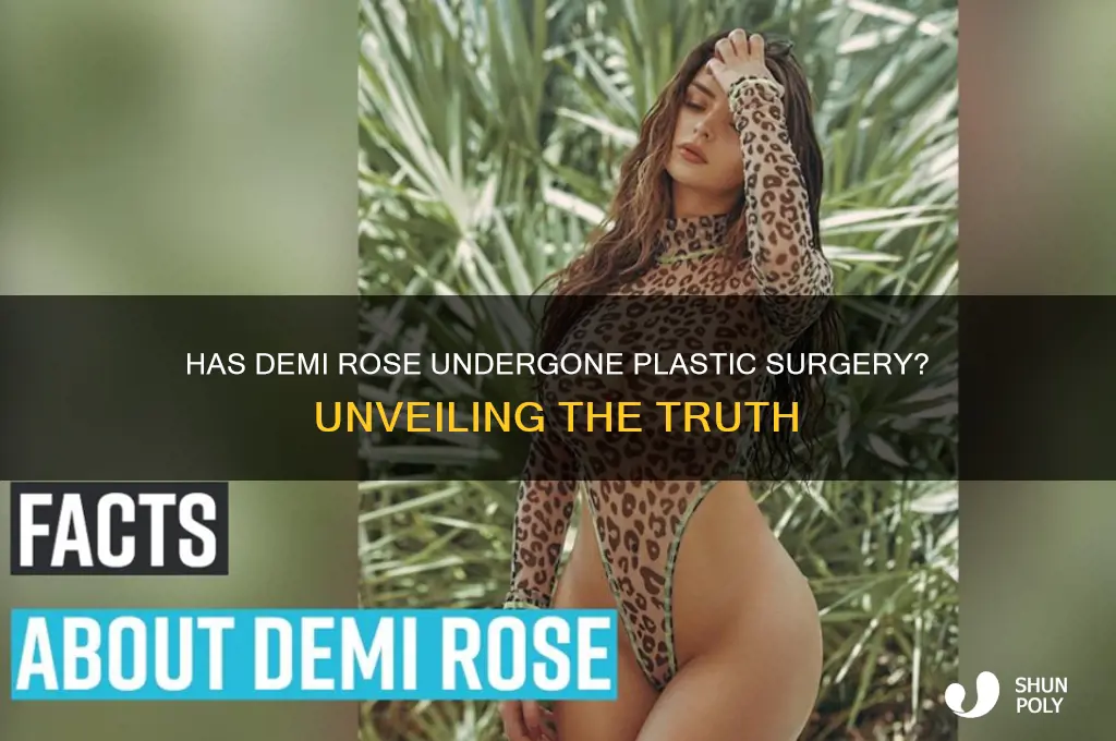 has demi rose get plastic surgery