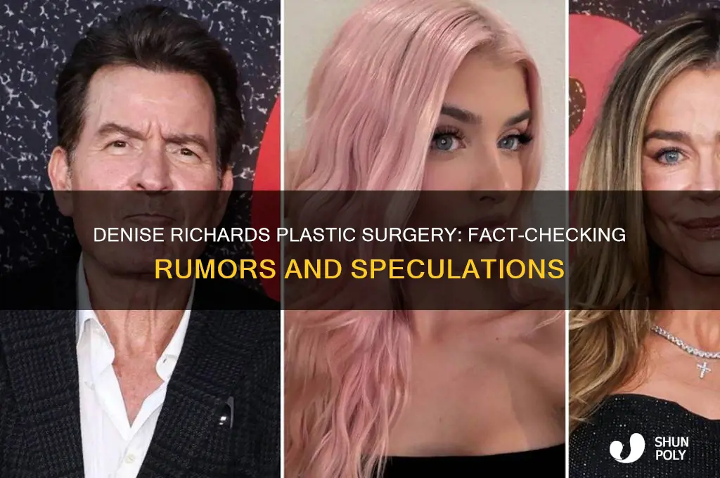 has denise richards had any plastic surgery