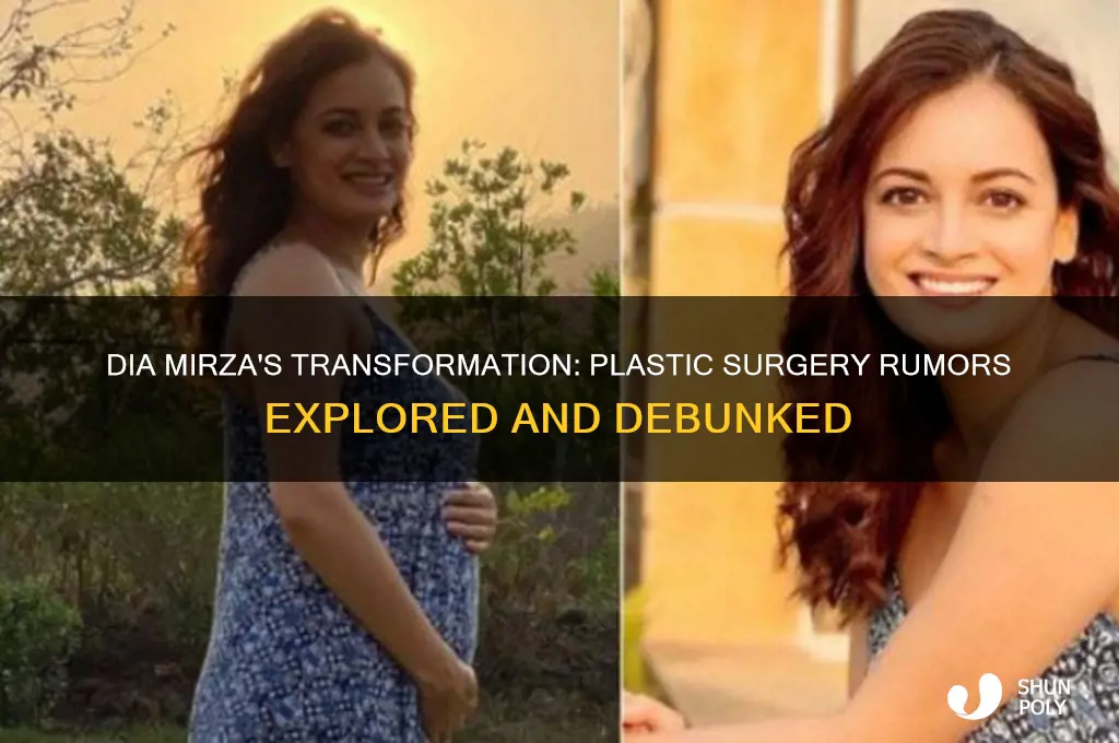 has dia mirza done plastic surgery