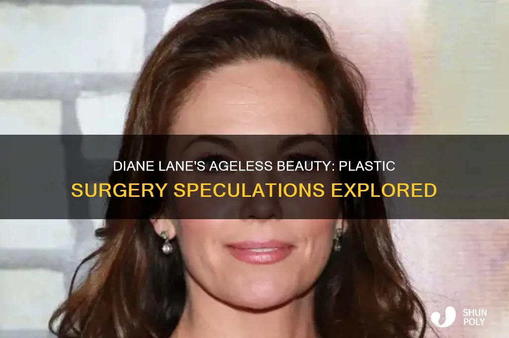 has diane lane had plastic surgery