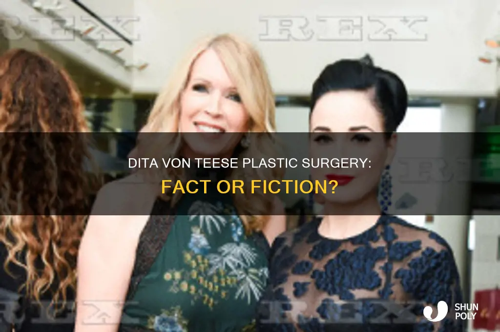has dita von teese had plastic surgery