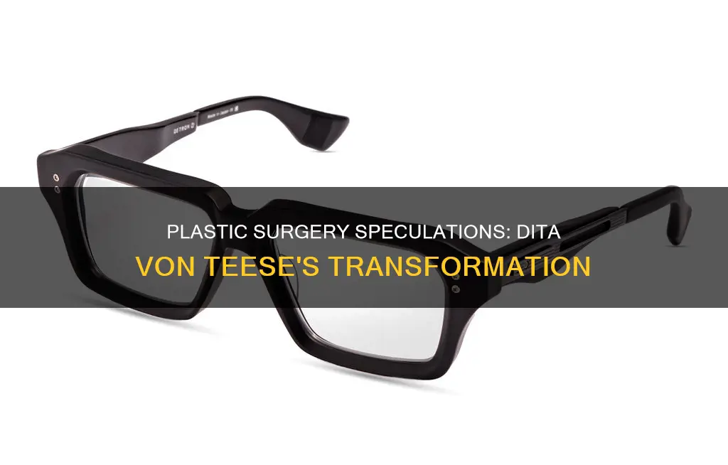has dita von teese had plastic