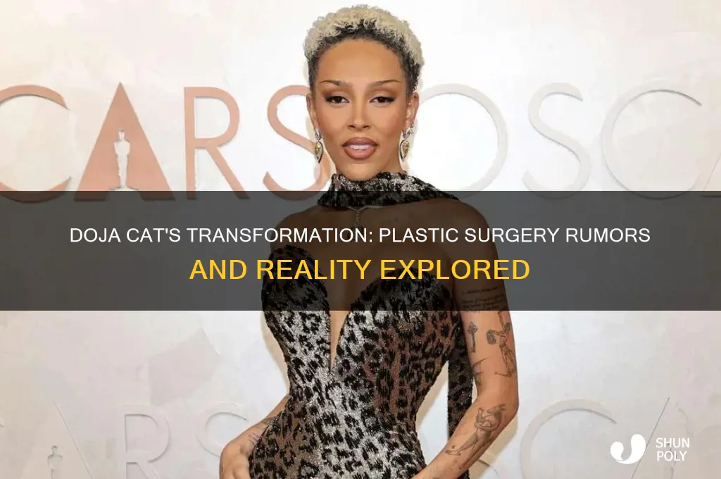 has doja had plastic surgery