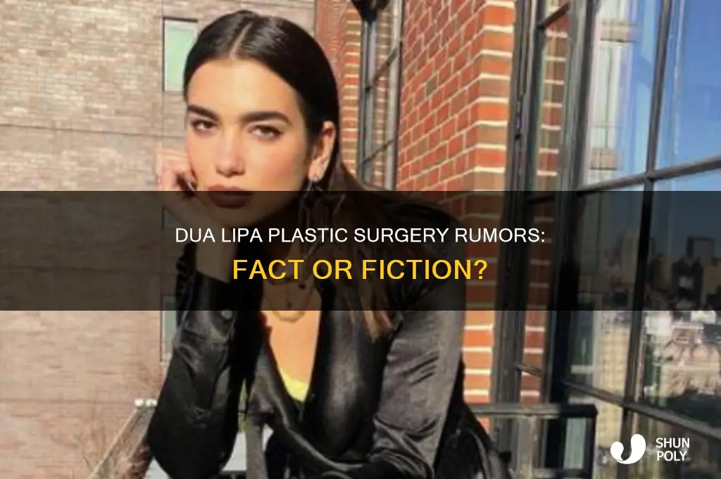 has dua lipa get plastic surgery