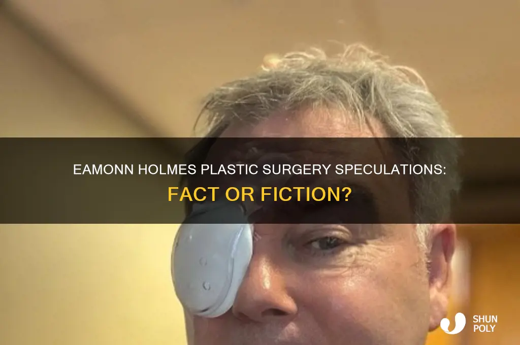 has eamon holmes had plastic surgery
