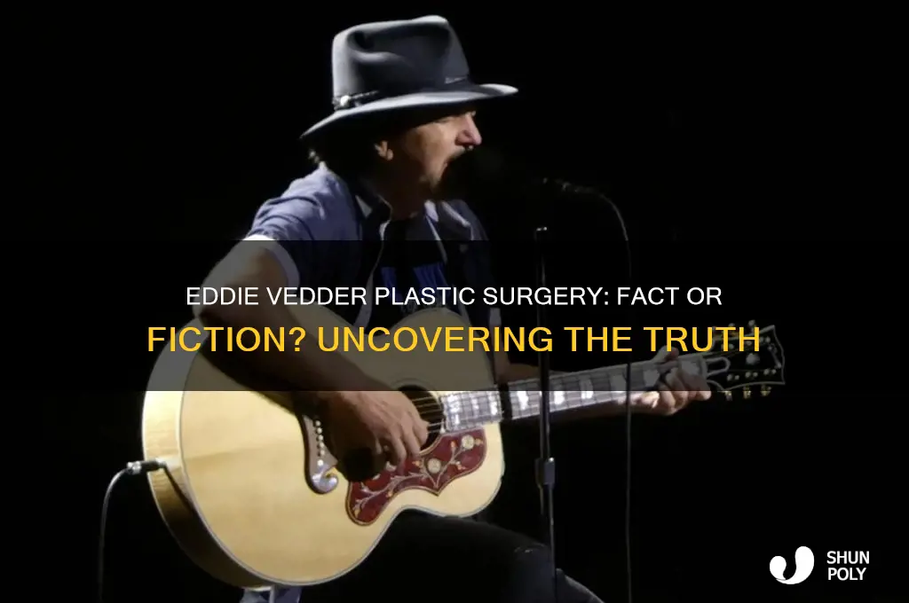 has eddie vedder had plastic surgery