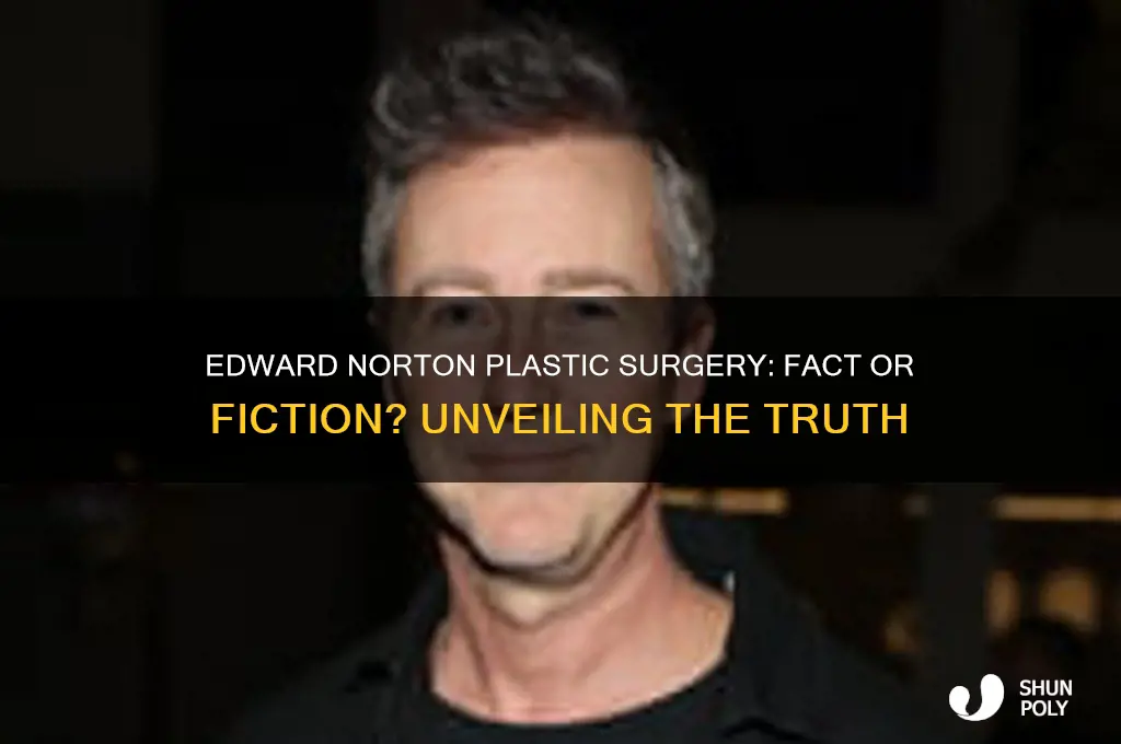 has edward norton had plastic surgery
