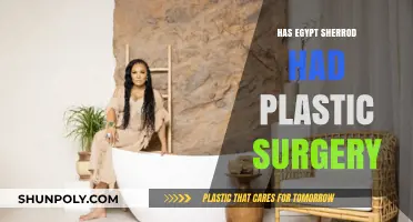 Egypt Sherrod's Transformation: Plastic Surgery Rumors Explored and Debunked