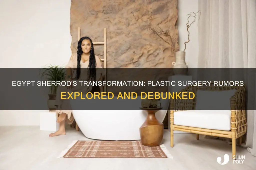 has egypt sherrod had plastic surgery