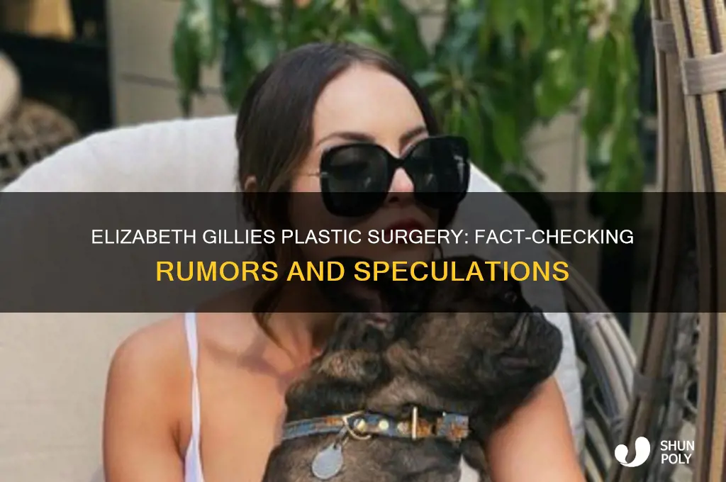 has elizabeth gillies had plastic surgery