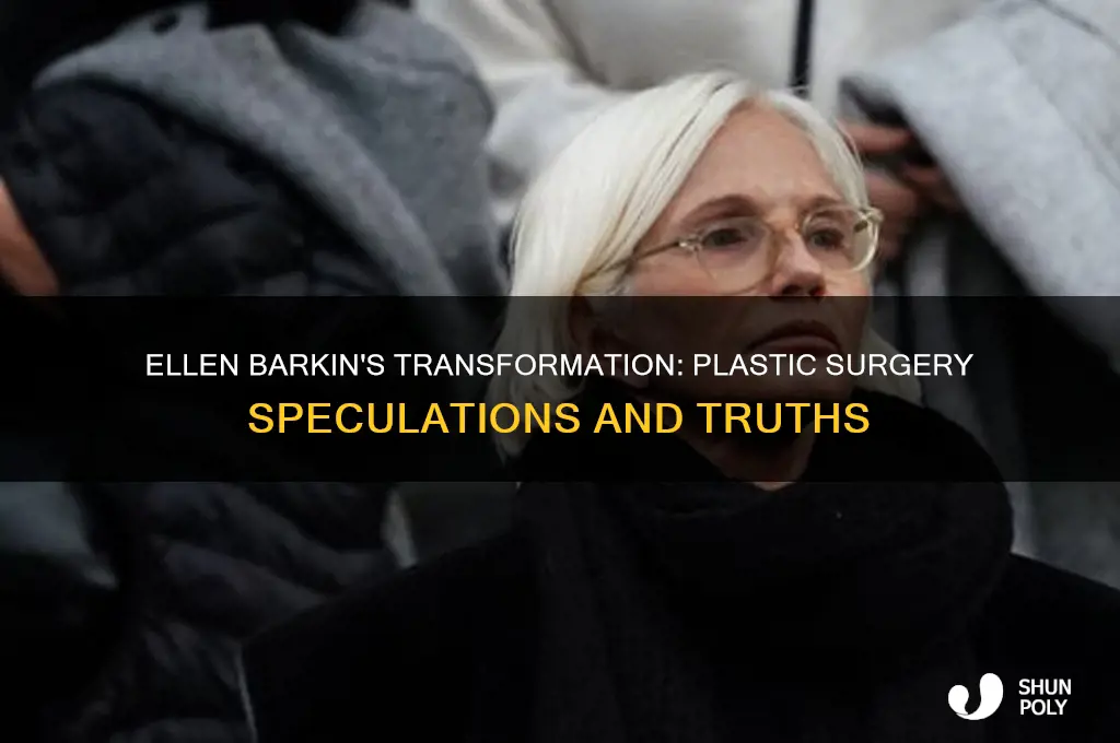 has ellen barkin had plastic surgery