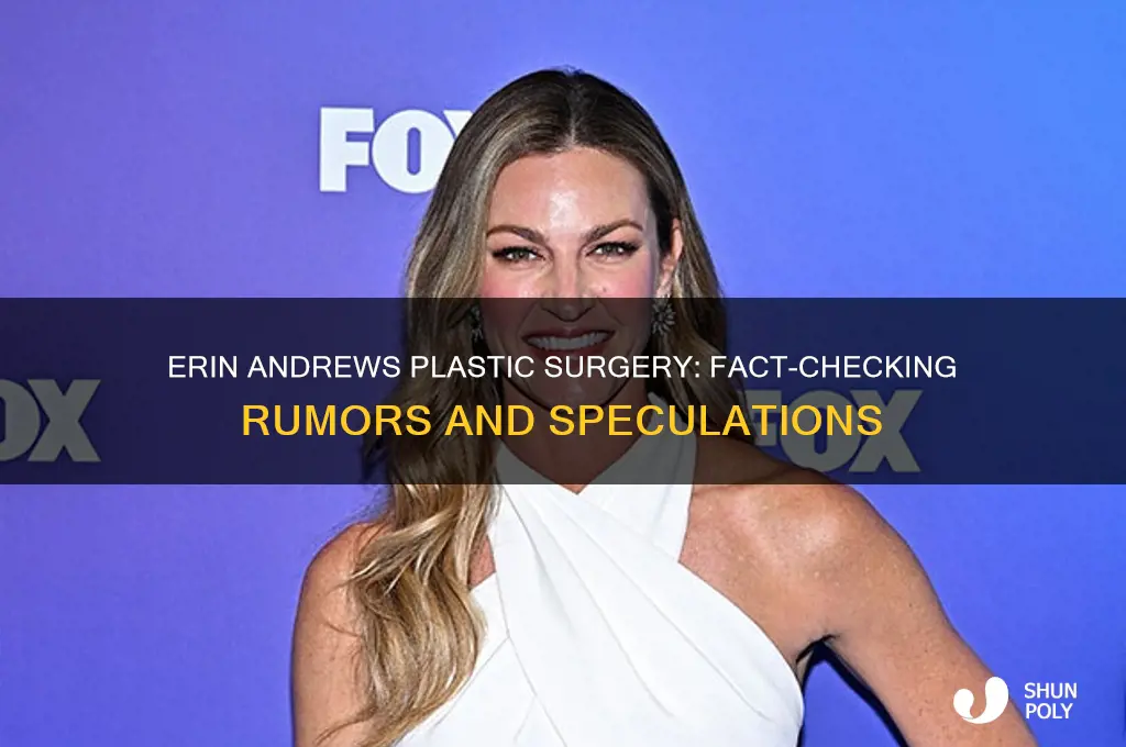 has erin andrews had plastic surgery