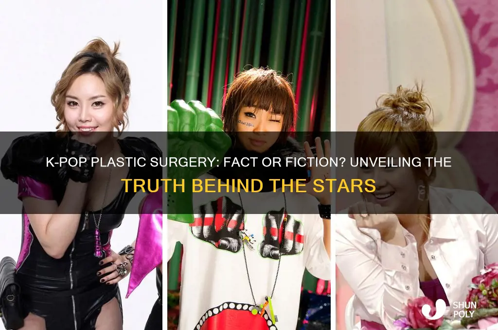 has every kpop star had plastic surgery