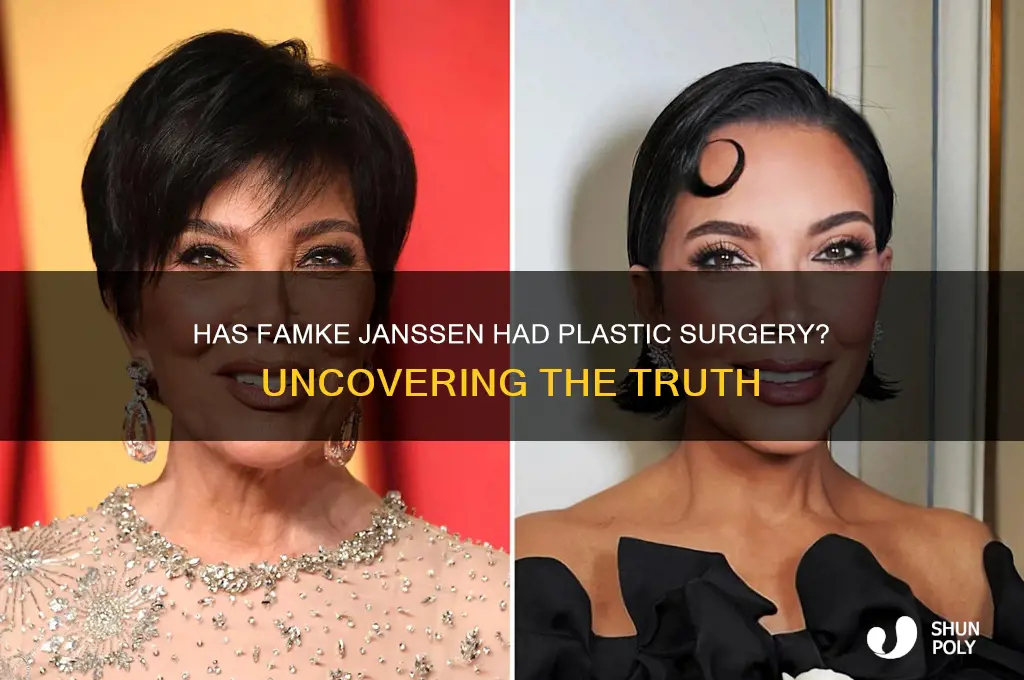 has famke had plastic surgery