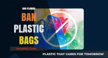 Florida's Plastic Bag Ban: Impact, Progress, and Future Sustainability Efforts