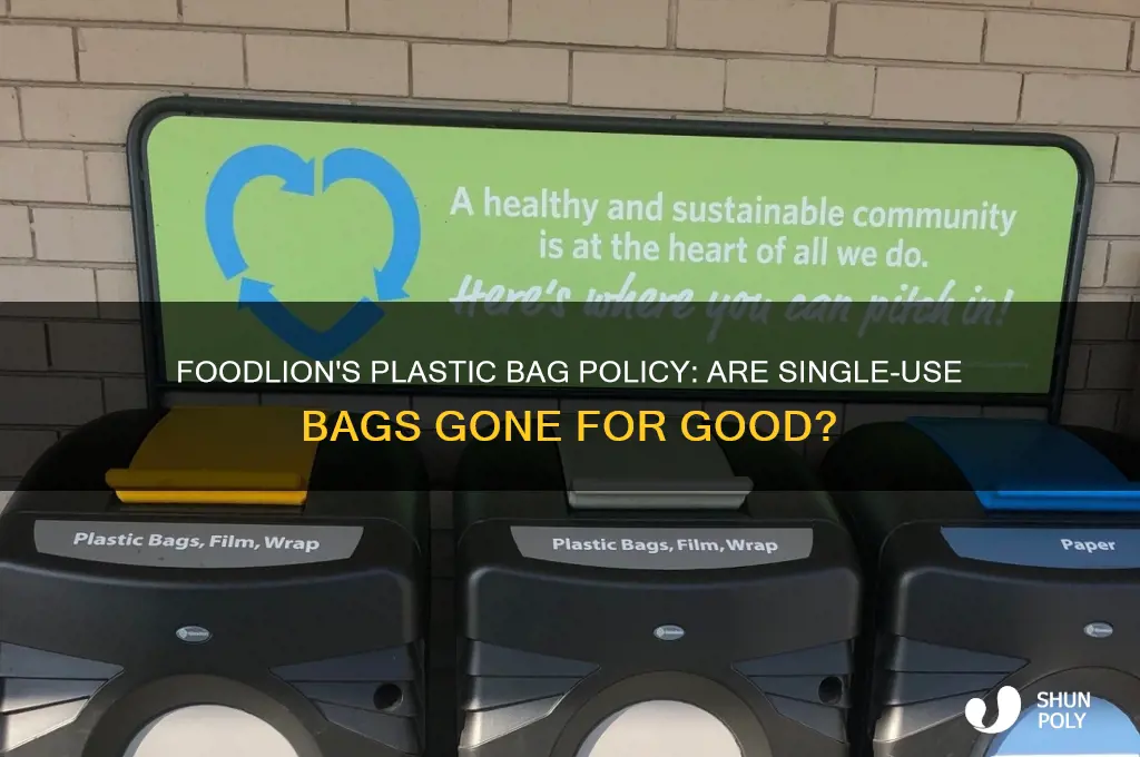 has foodlion stopped using plastic bags