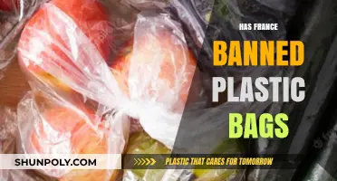 France's Plastic Bag Ban: Environmental Impact and Consumer Adaptation